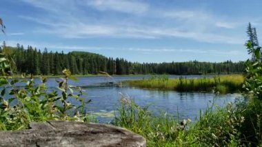 Hickey Gölü 'nde rüzgarlı bir yaz günü, Duck Dağı İl Parkı, Manitoba Kanada