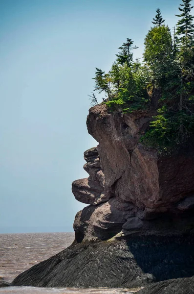 Face Rocheuse Parc Naturel Hopewell Rocks Nouveau Brunswick Canada Destination — Photo