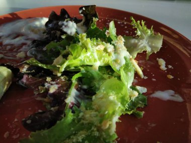 Sebze salatası - sağlıklı yemek