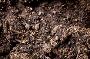 Kahverengi ve sarı toprak makro