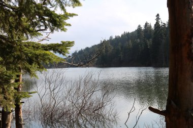 Nehir ve dağ manzarası