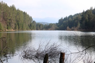 Nehir ve dağ manzarası