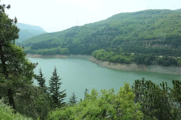 Árvores Com Vista Lago — Fotografia de Stock