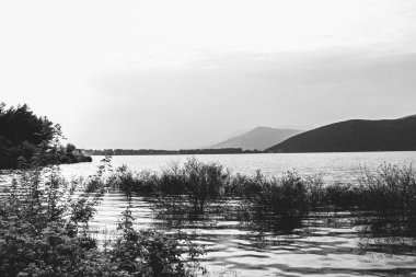 Dağlı siyah beyaz nehir