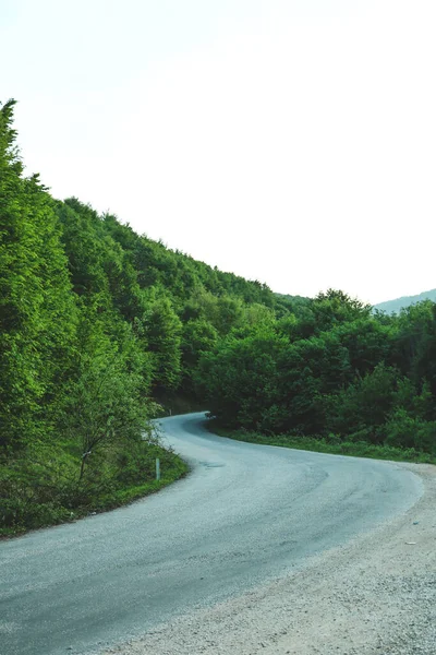 Road Green Forest Landscape — Stock Photo, Image