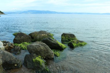 Denizde bir sürü siyah ve yeşil renkli kaya var.