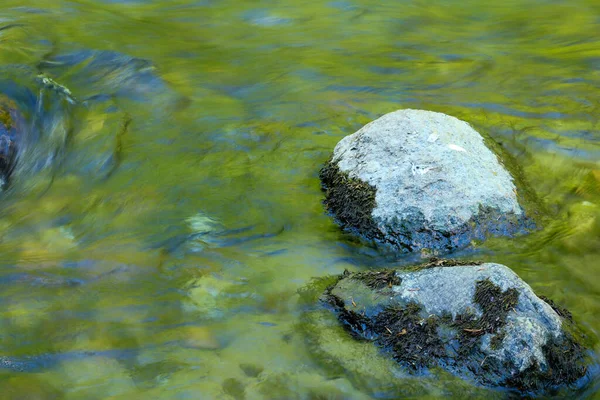 Roca Blanca Negra Arroyo — Foto de Stock