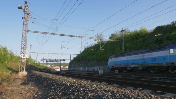 Tren Kırsal Kesimden Geçiyor — Stok video