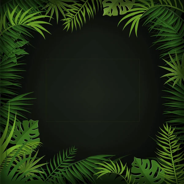 Fondo tropical con hojas de palmera, monstera y hierbas sobre un fondo oscuro. Banner con lugar para texto — Vector de stock