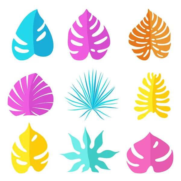 Sada barevných jasných tropických listů různých typů a tvarů — Stockový vektor