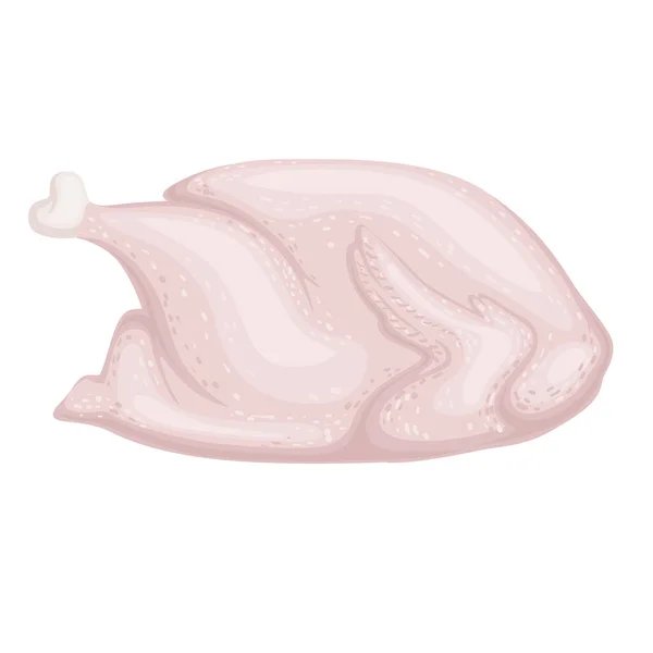 Ilustração de vetor de frango cru fresco. Ilustração vetorial —  Vetores de Stock