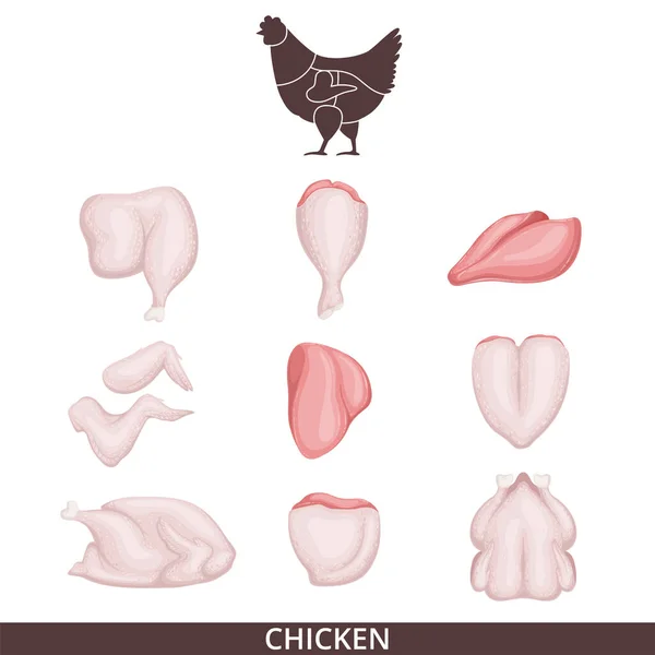 Esquema de corte de pollo. Cartel para una cafetería de estilo retro. Trozos de pollo. Aislado sobre fondo blanco . — Vector de stock