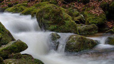 Gertelbach şelalesinde sonbaharda yosunlu taşlar ve portakal yapraklarıyla Kara Orman 'da.