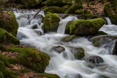 Gertelbach şelalesinde sonbaharda yosunlu taşlar ve portakal yapraklarıyla Kara Orman 'da.
