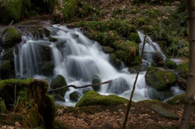 Gertelbach şelalesinde sonbaharda yosunlu taşlar ve portakal yapraklarıyla Kara Orman 'da.