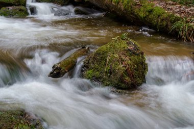 Gertelbach şelalesinde sonbaharda yosunlu taşlar ve portakal yapraklarıyla Kara Orman 'da.