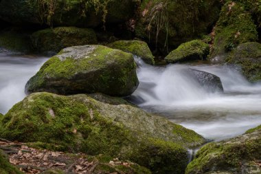 Gertelbach şelalesinde sonbaharda yosunlu taşlar ve portakal yapraklarıyla Kara Orman 'da.