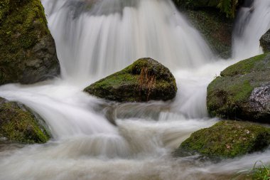 Gertelbach şelalesinde sonbaharda yosunlu taşlar ve portakal yapraklarıyla Kara Orman 'da.