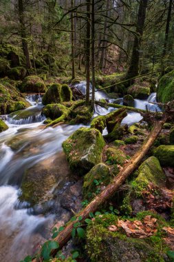 Gertelbach şelalesinde sonbaharda yosunlu taşlar ve portakal yapraklarıyla Kara Orman 'da.