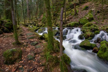 Gertelbach şelalesinde sonbaharda yosunlu taşlar ve portakal yapraklarıyla Kara Orman 'da.
