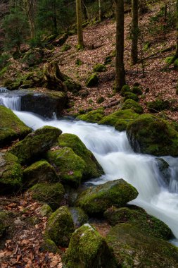 Gertelbach şelalesinde sonbaharda yosunlu taşlar ve portakal yapraklarıyla Kara Orman 'da.