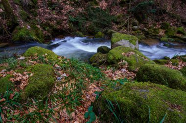 Gertelbach şelalesinde sonbaharda yosunlu taşlar ve portakal yapraklarıyla Kara Orman 'da.