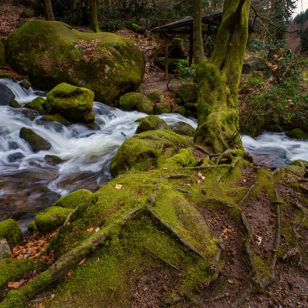 Cascata Gertelbach Nella Foresta Nera Con Pietre Muschiate Foglie Arancio — Foto Stock