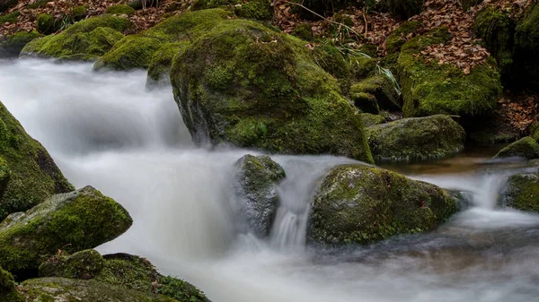 Gertelbach şelalesinde sonbaharda yosunlu taşlar ve portakal yapraklarıyla Kara Orman 'da.