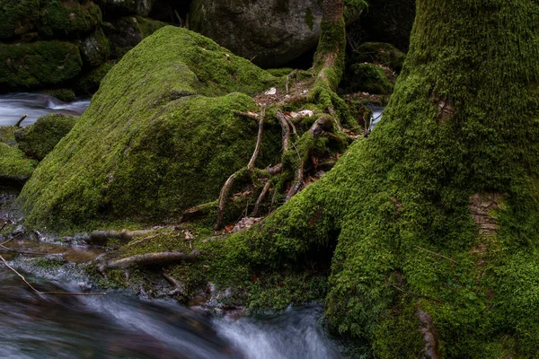 Cascade Gertelbach Dans Forêt Noire Avec Des Pierres Mousseuses Des — Photo