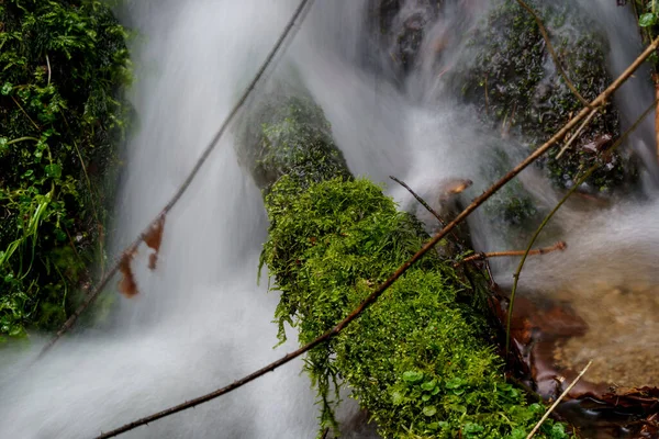 Wodospad Gertelbach Czarnym Lesie Mszystymi Kamieniami Pomarańczowymi Liśćmi Jesienią — Zdjęcie stockowe