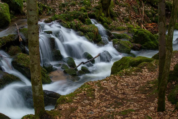 Cascade Gertelbach Dans Forêt Noire Avec Des Pierres Mousseuses Des — Photo