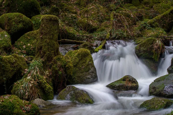 Cascade Gertelbach Dans Forêt Noire Avec Des Pierres Mousseuses Des — Photo