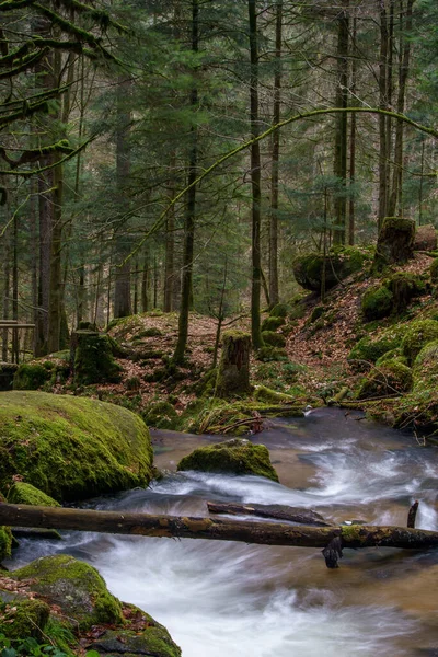 Cascata Gertelbach Nella Foresta Nera Con Pietre Muschiate Foglie Arancio — Foto Stock