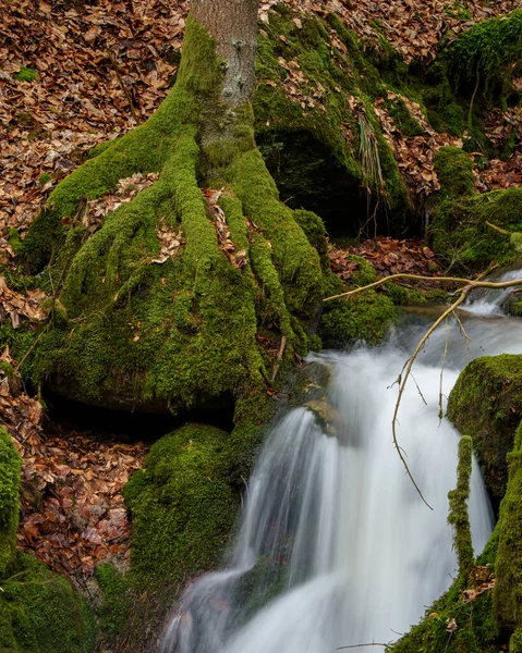 Cascade Gertelbach Dans Forêt Noire Avec Des Pierres Mousseuses Des — Photo