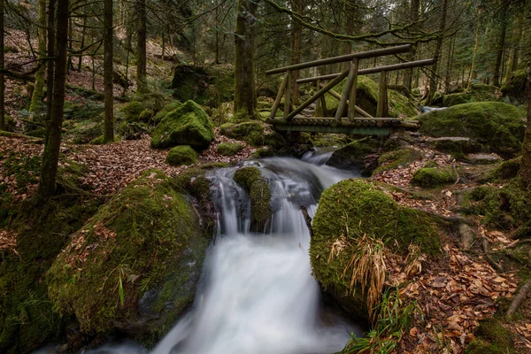 Cascada Gertelbach Selva Negra Con Piedras Musgosas Hojas Naranjas Otoño — Foto de Stock