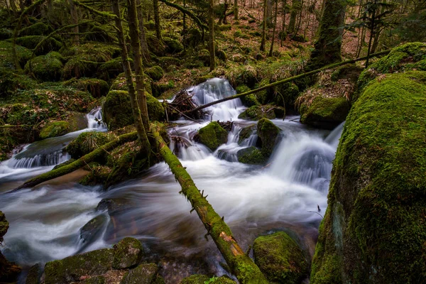 Gertelbach şelalesinde sonbaharda yosunlu taşlar ve portakal yapraklarıyla Kara Orman 'da.