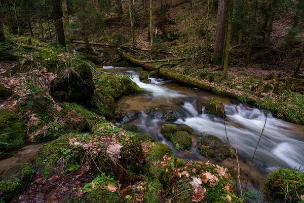 Cascata Gertelbach Nella Foresta Nera Con Pietre Muschiate Foglie Arancio — Foto Stock