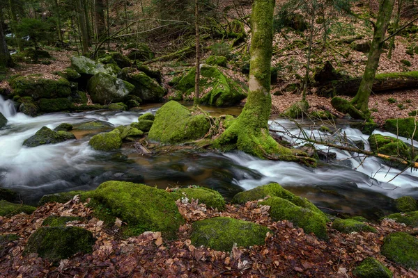 Gertelbachwasserfall Schwarzwald Mit Bemoosten Steinen Und Orangefarbenen Blättern Herbst — Stockfoto