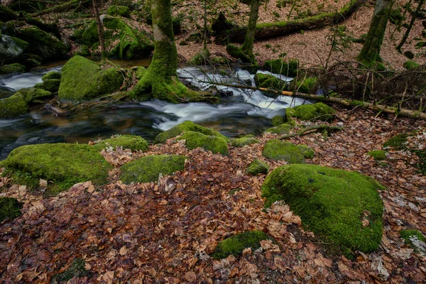 Wodospad Gertelbach Czarnym Lesie Mszystymi Kamieniami Pomarańczowymi Liśćmi Jesienią — Zdjęcie stockowe