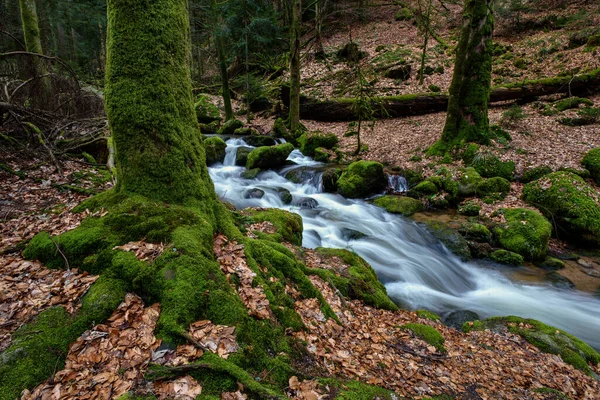 Cascada Gertelbach Selva Negra Con Piedras Musgosas Hojas Naranjas Otoño — Foto de Stock