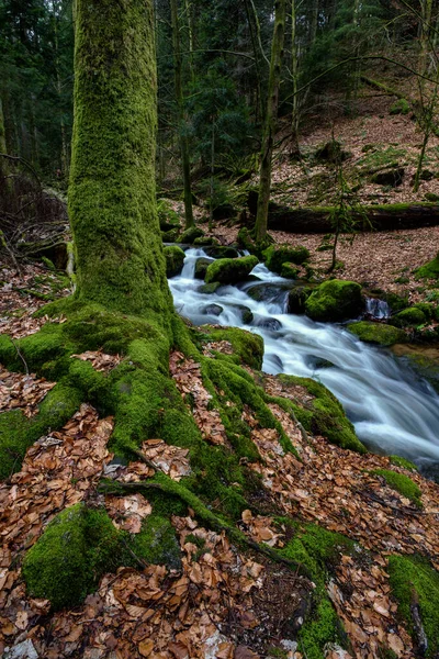 Cascada Gertelbach Selva Negra Con Piedras Musgosas Hojas Naranjas Otoño — Foto de Stock