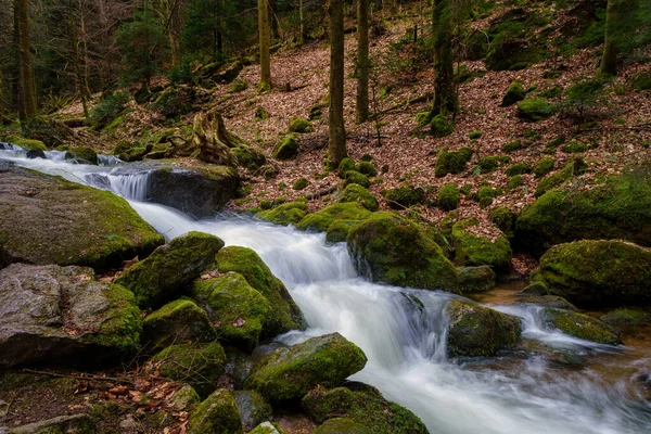 Cascada Gertelbach Selva Negra Con Piedras Musgosas Hojas Naranjas Otoño —  Fotos de Stock