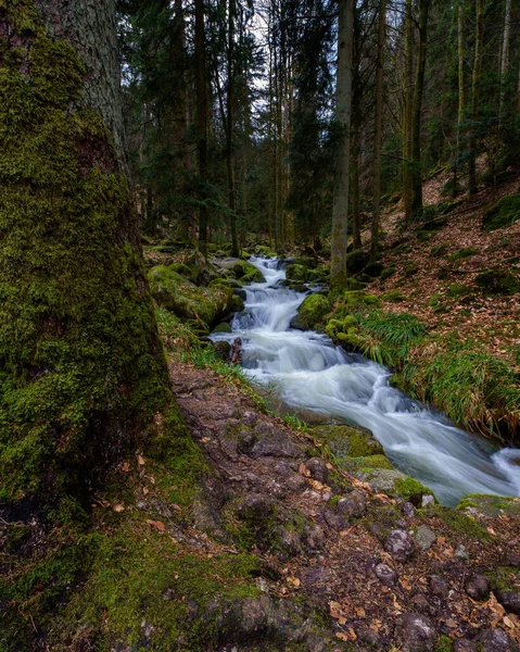 Cachoeira Gertelbach Floresta Negra Com Pedras Musgosas Folhas Laranja Outono — Fotografia de Stock