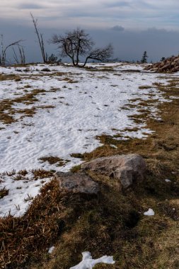 Kara Orman Hornisgrinde 'nin kışın en yüksek noktasının manzarası kar ve mavi gökyüzü bulutlu, Baden-Wuerttemberg, Almanya, Avrupa