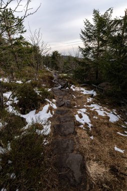 Kara Orman Hornisgrinde 'nin kışın en yüksek noktasının manzarası kar ve mavi gökyüzü bulutlu, Baden-Wuerttemberg, Almanya, Avrupa