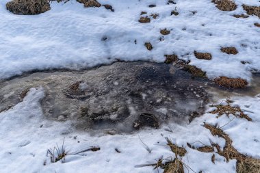 Kara Orman Hornisgrinde 'nin kışın en yüksek noktasının manzarası kar ve mavi gökyüzü bulutlu, Baden-Wuerttemberg, Almanya, Avrupa