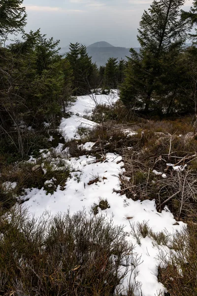 Paisaje Del Punto Más Alto Selva Negra Hornisgrinde Invierno Con — Foto de Stock