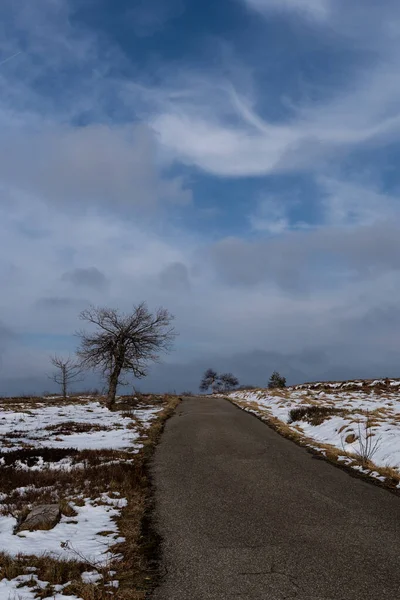 Landskap Den Högsta Punkten Schwarzwald Hornisgrinde Vintern Med Snö Och — Stockfoto