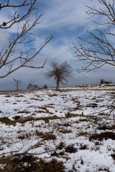 Landskap Den Högsta Punkten Schwarzwald Hornisgrinde Vintern Med Snö Och — Stockfoto