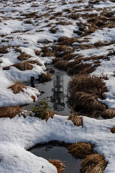 Landskap Den Högsta Punkten Schwarzwald Hornisgrinde Vintern Med Snö Och — Stockfoto
